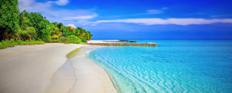 Beachfront Magic